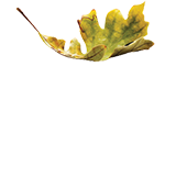 Wood Floors of Farnham